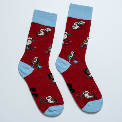 Kookaburra Sox