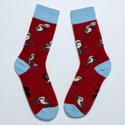 Kookaburra Sox