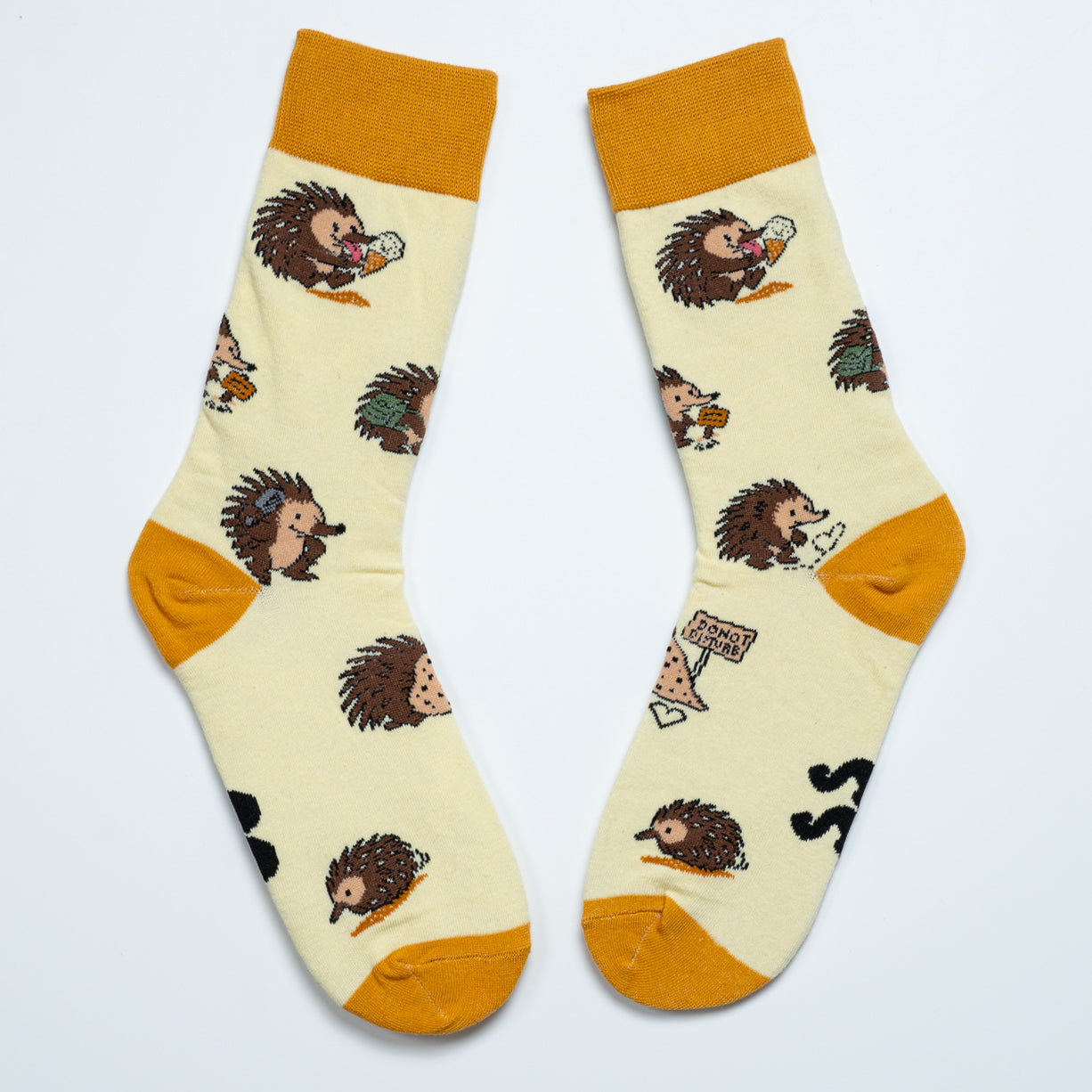 Echidna Sox