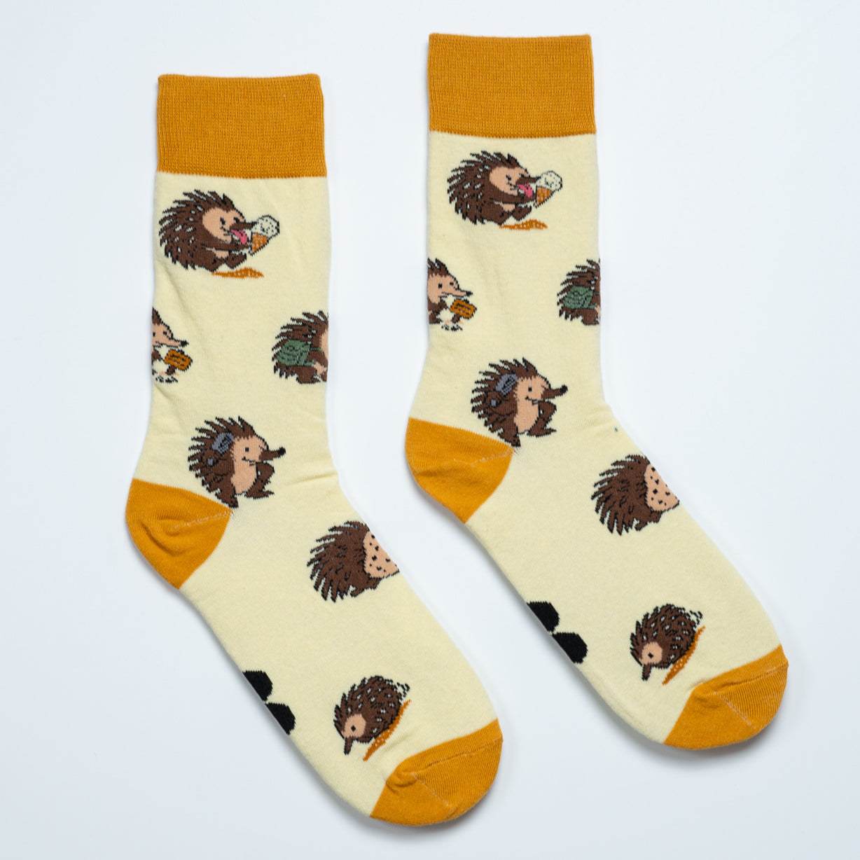 Echidna Sox