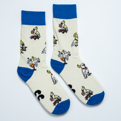 Cockatoo Sox 2