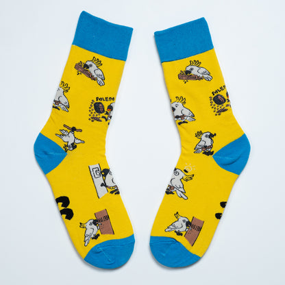 Cockatoo Sox